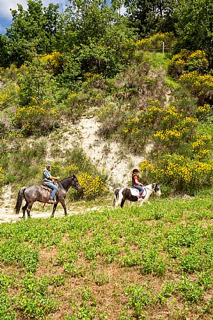 Horse riding Alta Langa